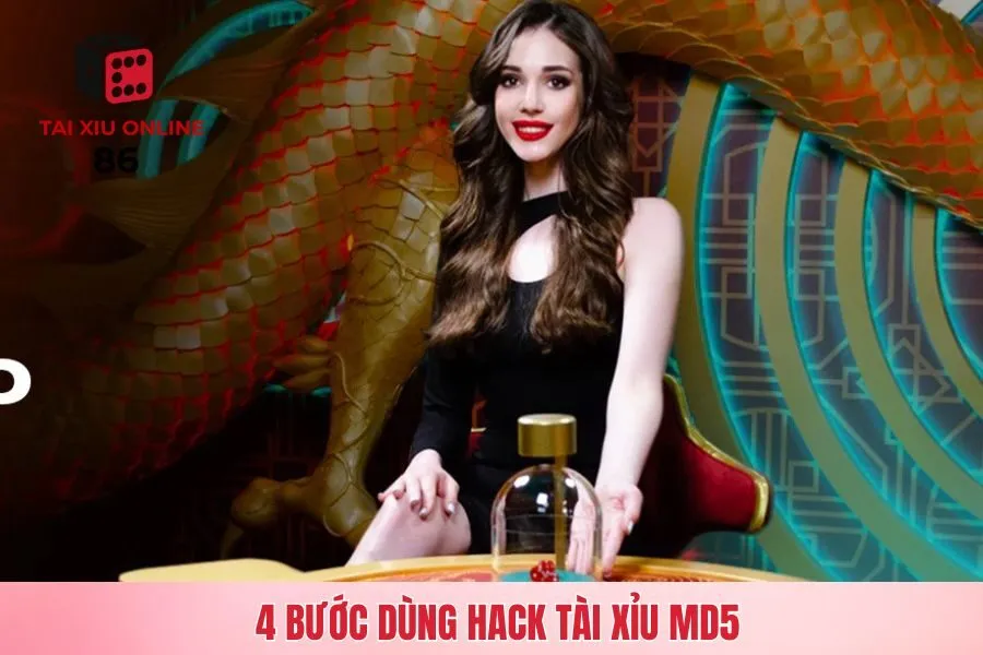 Bốn bước giúp bạn sử dụng công cụ hack Tài Xỉu MD5 đơn giản