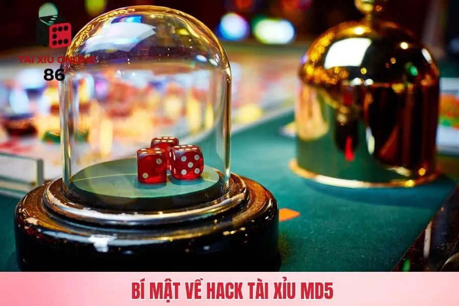 Bí mật về phần mềm hack Tài Xỉu MD5