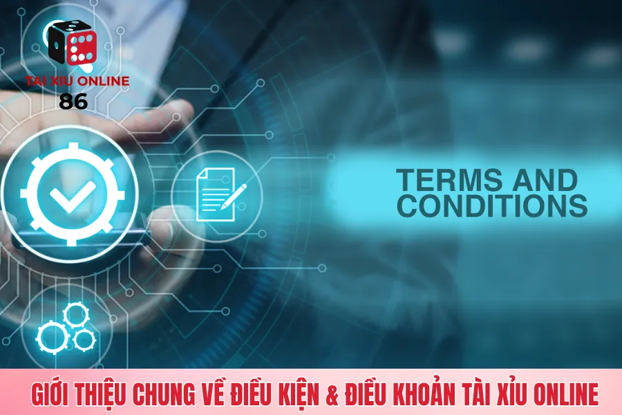 Giới thiệu chung về điều kiện & điều khoản tài xỉu online