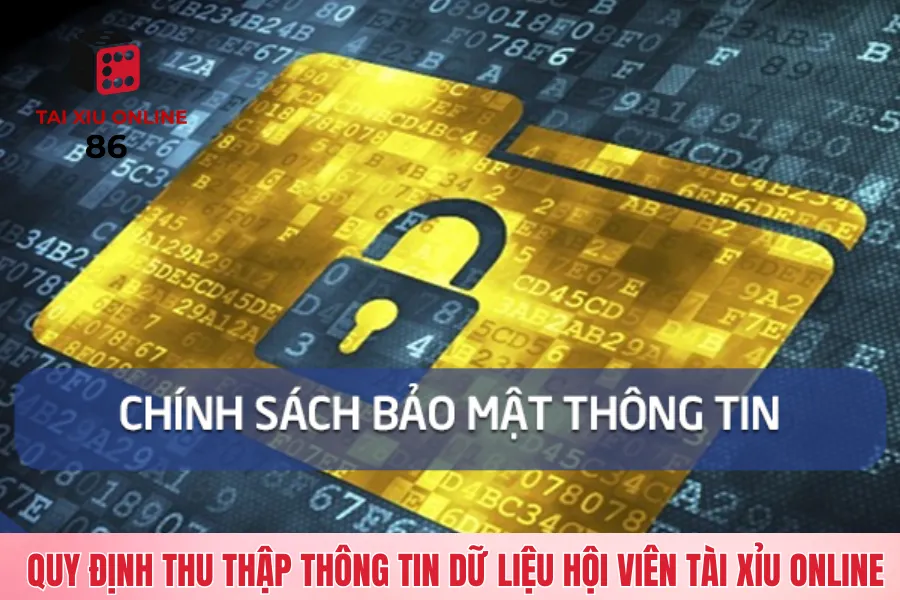 Quy định thu thập thông tin dữ liệu hội viên tài xỉu online