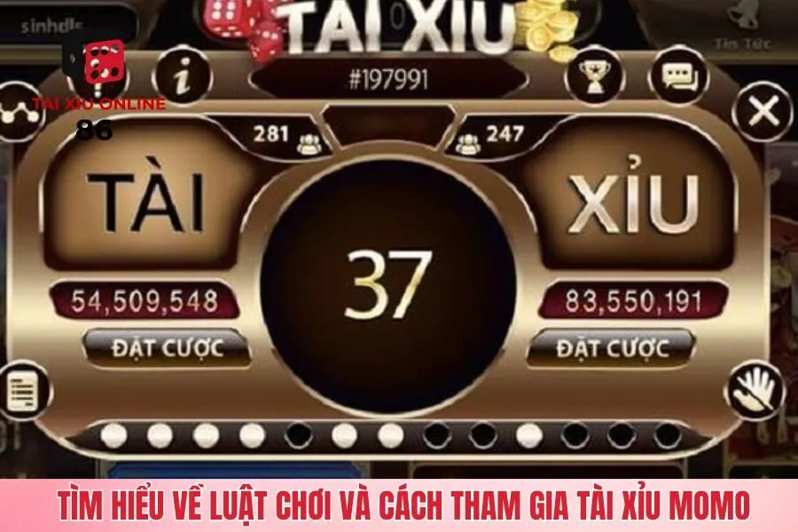 Tìm hiểu về luật chơi và cách tham gia tài xỉu momo