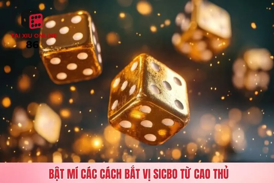 Bật mí các cách bắt vị Sicbo từ cao thủ