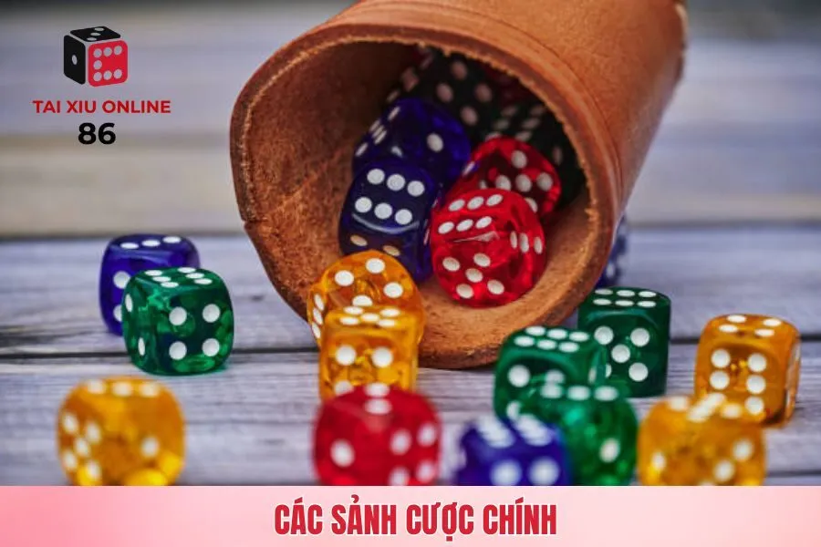 Các sảnh cược chính