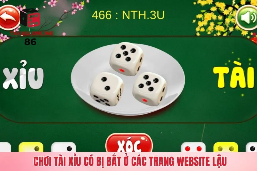 Chơi tài xỉu có bị bắt ở các trang website lậu