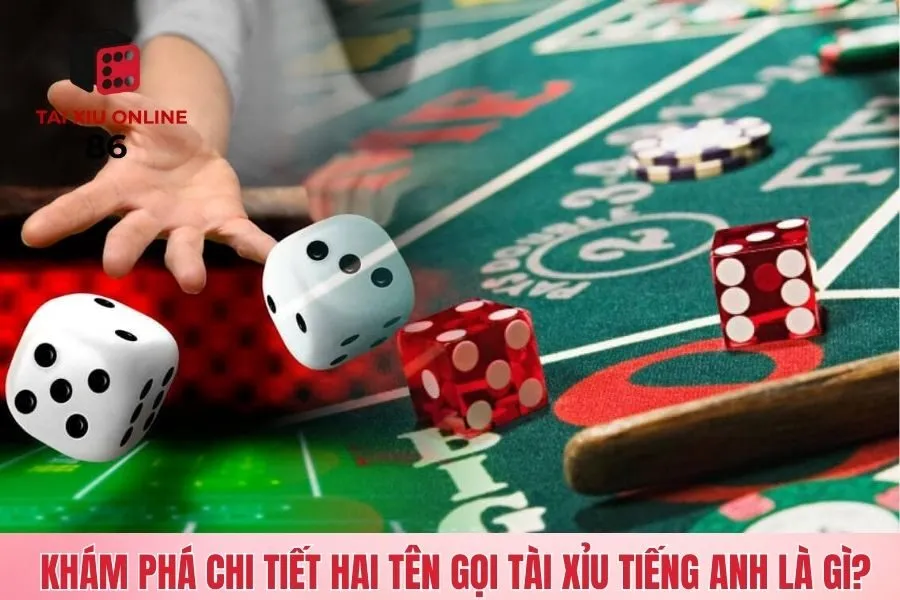 Khám phá chi tiết về tài xỉu tiếng Anh là gì