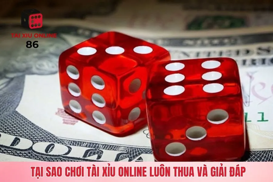 Tại sao chơi Tài xỉu online luôn thua và giải đáp